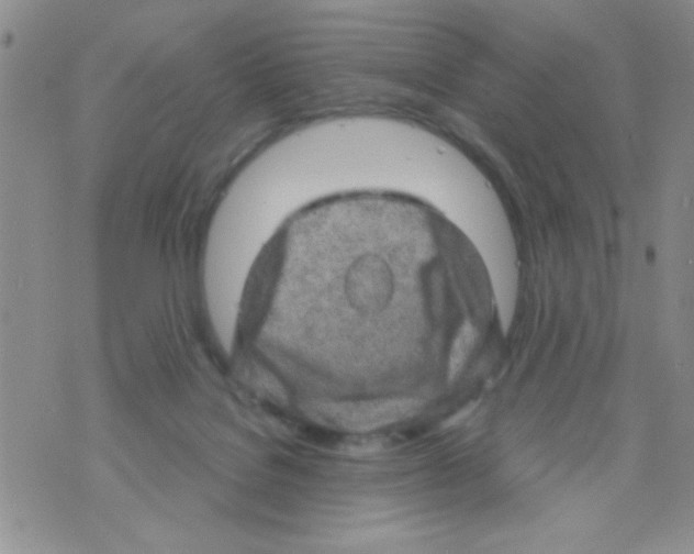 X0000073750076200608311946