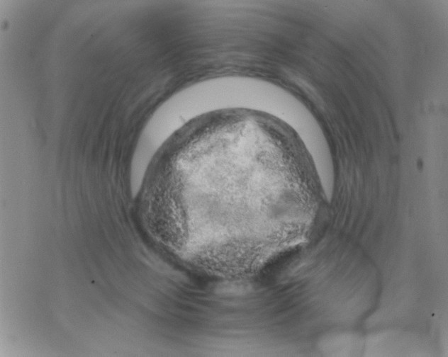 X0000073750077200608311946