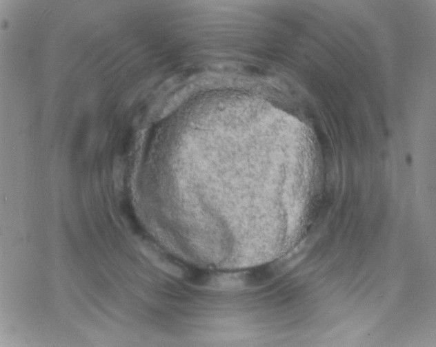 X0000073750078200608311946