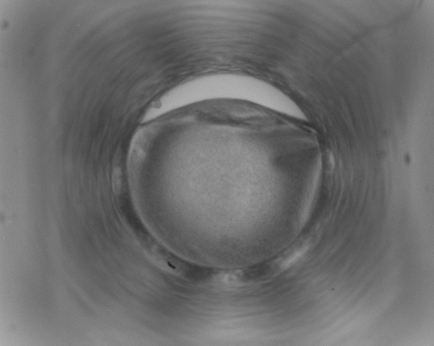 X0000073750080200608311946