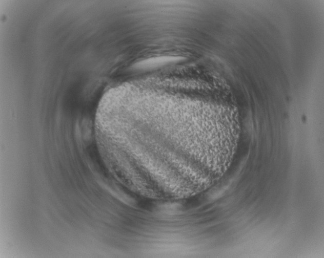 X0000073750081200608311946