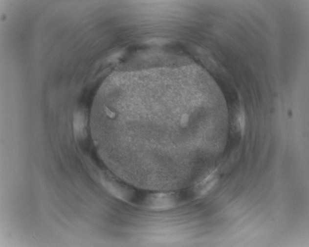 X0000073750082200608311946