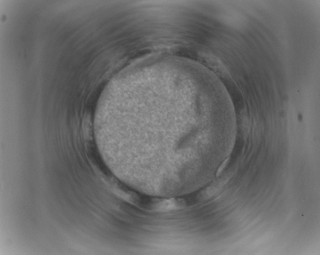 X0000073750083200608311946