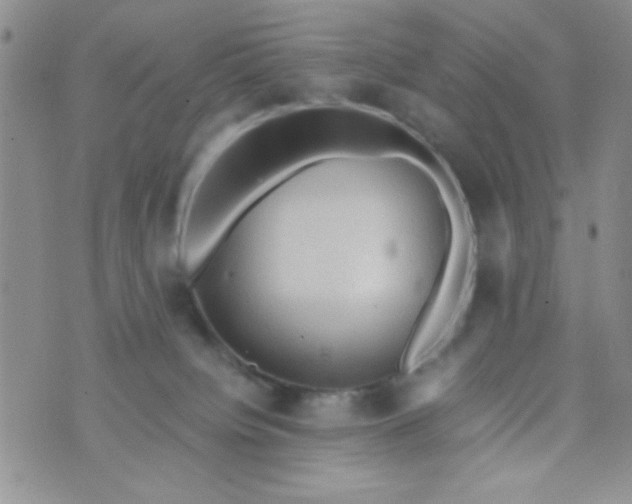 X0000073750084200608311946