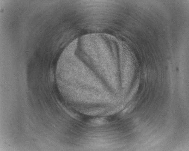 X0000073750086200608311946