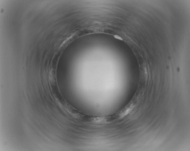 X0000073750088200608311946