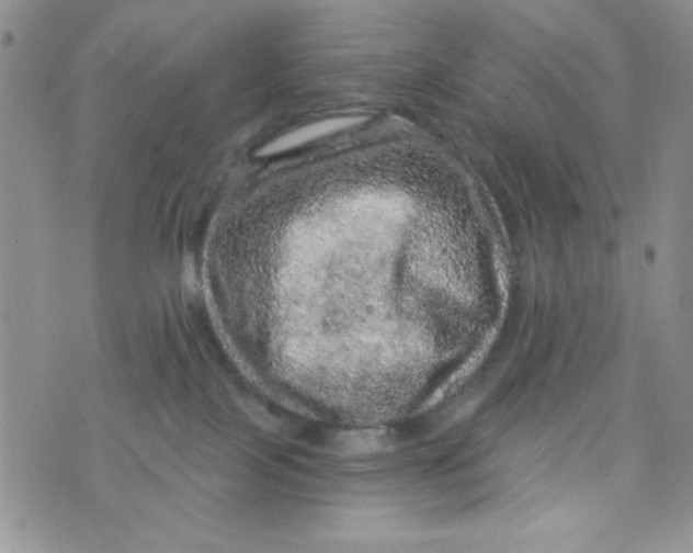 X0000073750089200608311946