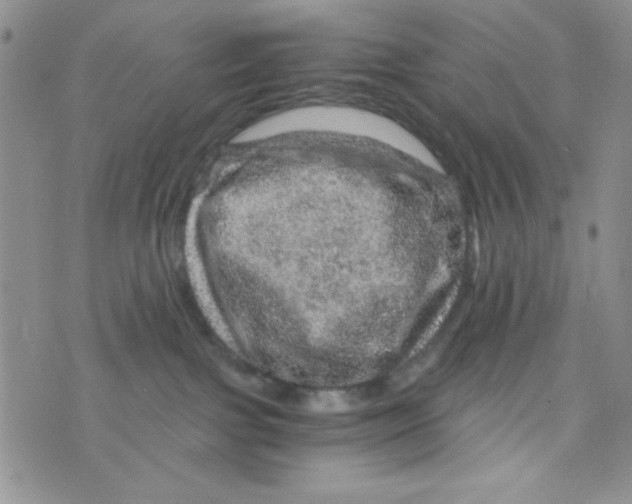 X0000073750091200608311946