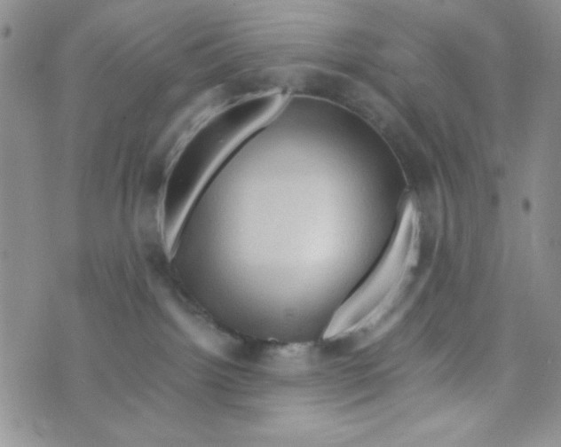 X0000073750092200608311946