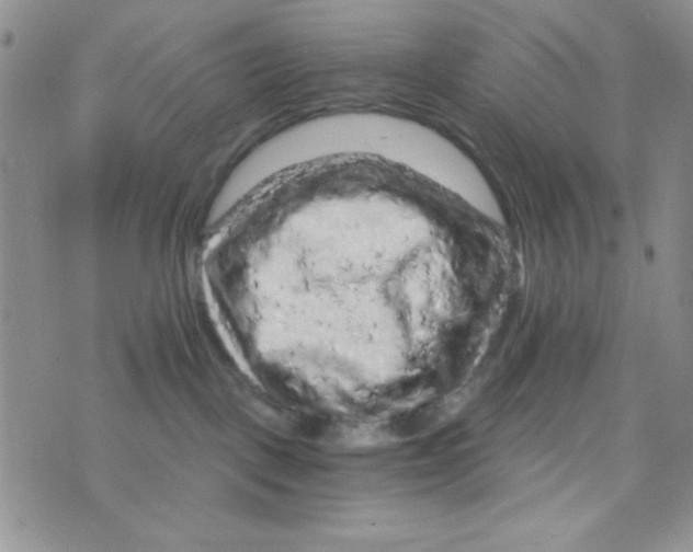 X0000073750093200608311946