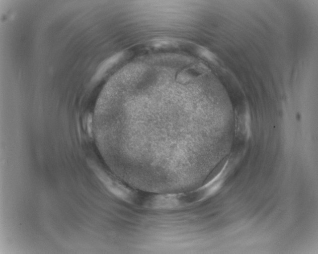 X0000073750094200608311946