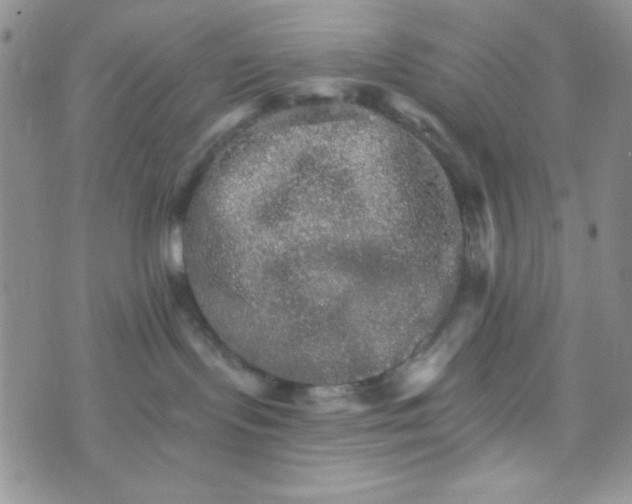 X0000073750095200608311946