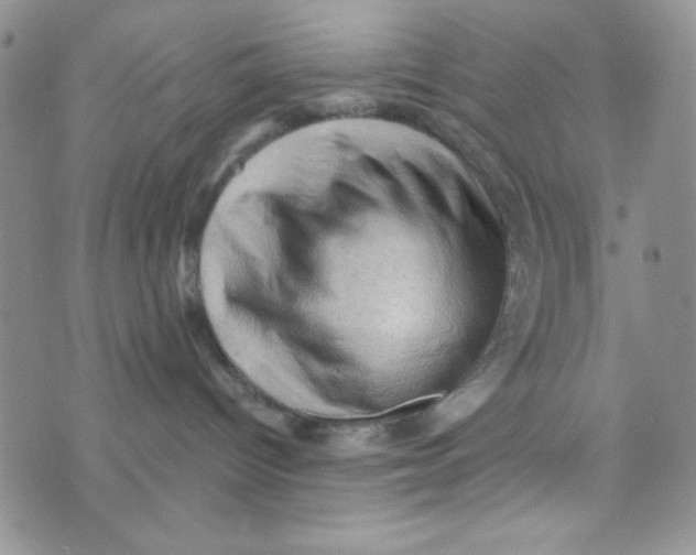 X0000073750096200608311946