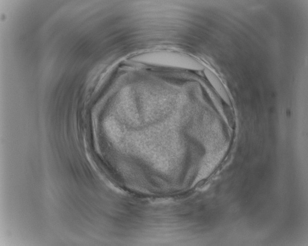 X0000073750097200608311945