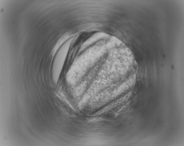 X0000073750099200608311945