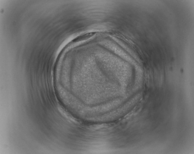 X0000073750100200608311945