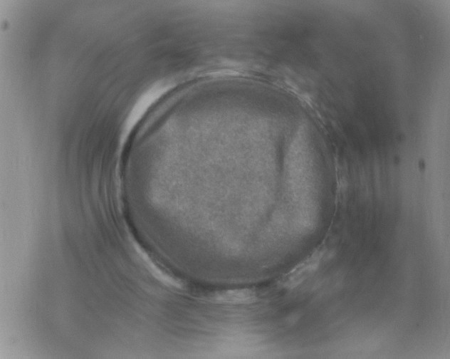 X0000073750102200608311945