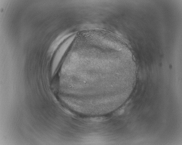 X0000073750103200608311945