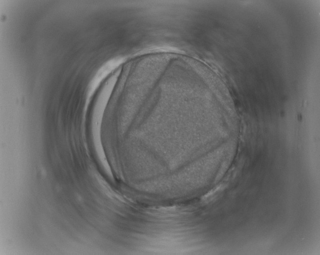 X0000073750104200608311945