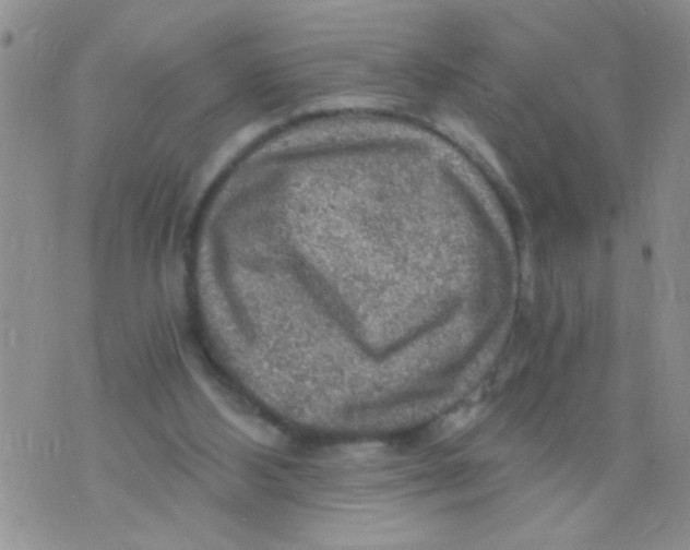 X0000073750108200608311945