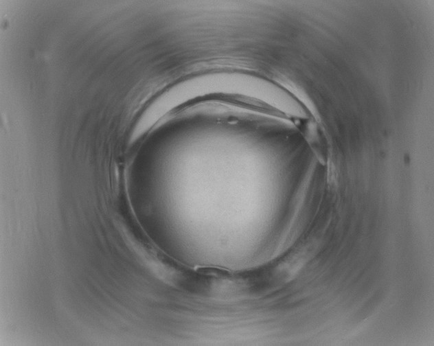 X0000073750109200608311945