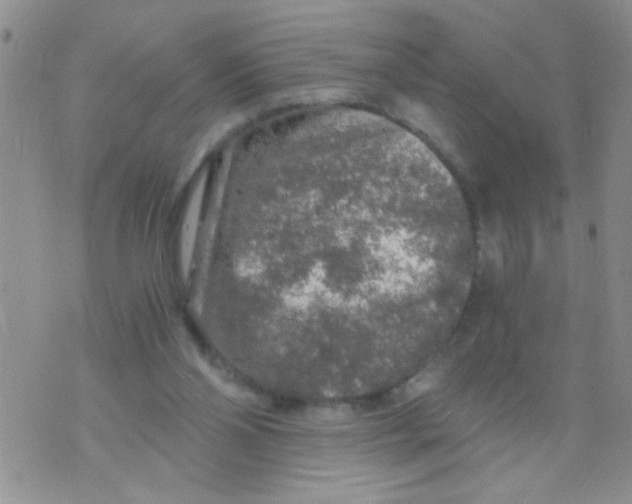 X0000073750110200608311945