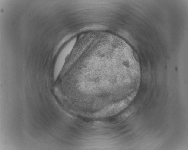 X0000073750111200608311945