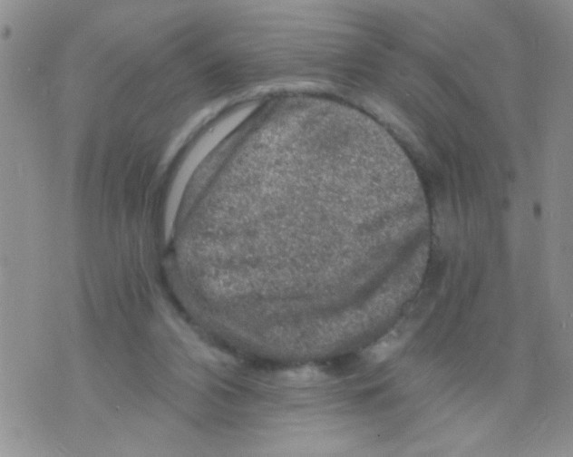 X0000073750112200608311945