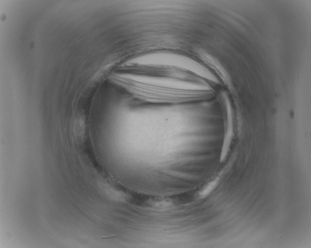 X0000073750113200608311945