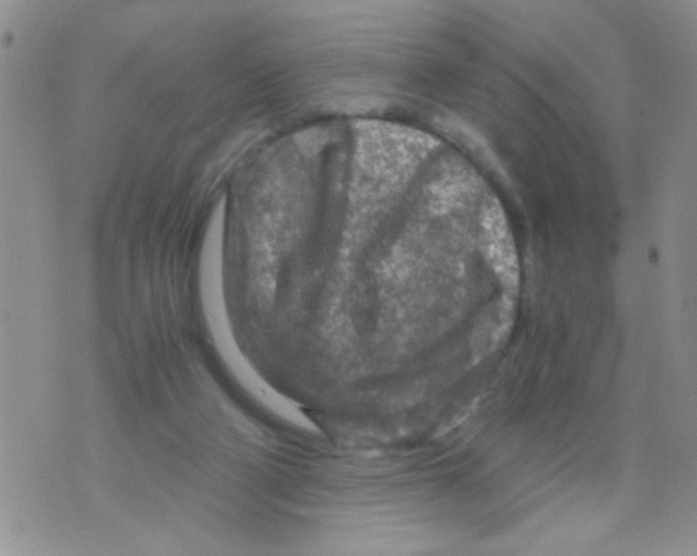 X0000073750114200608311945