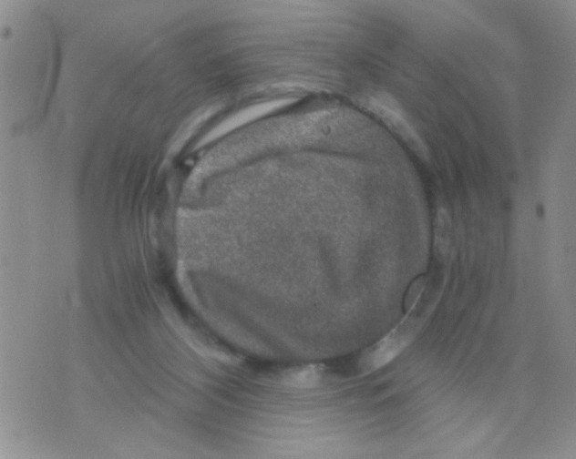 X0000073750116200608311945