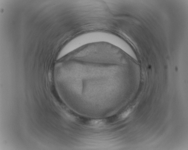 X0000073750117200608311945