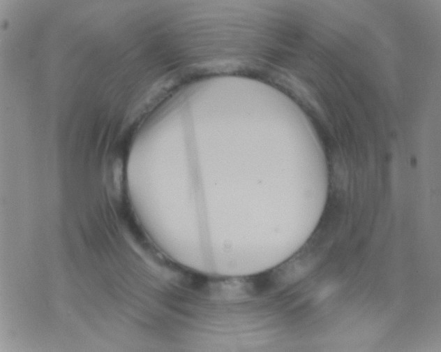 X0000073750118200608311945