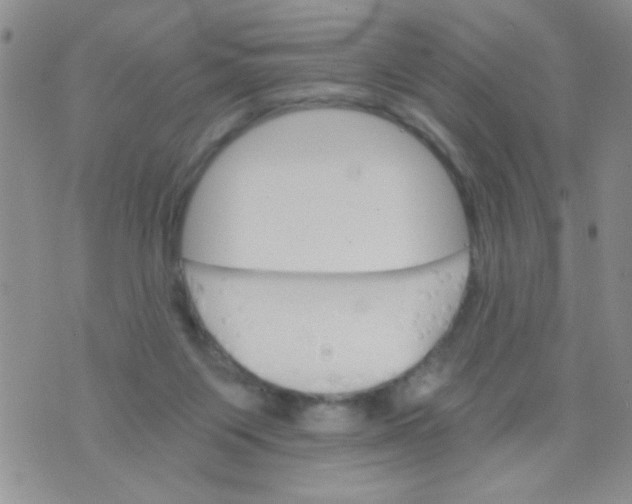 X0000073750119200608311945