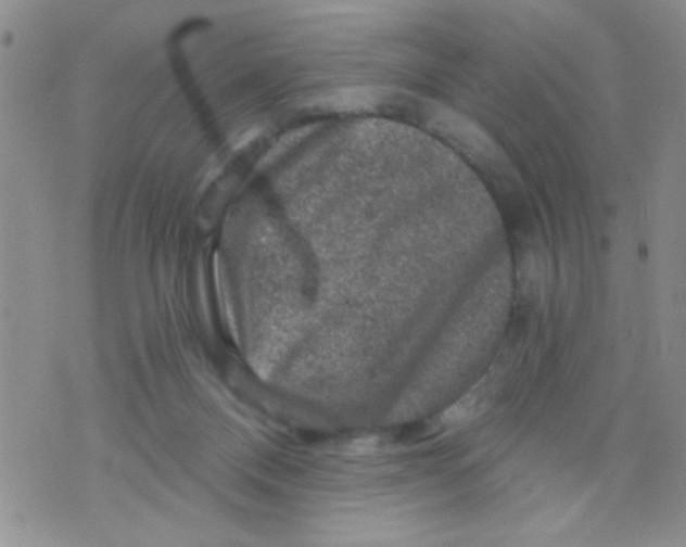 X0000073750120200608311945