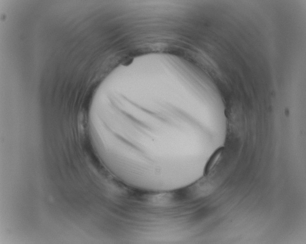 X0000073750122200608311945