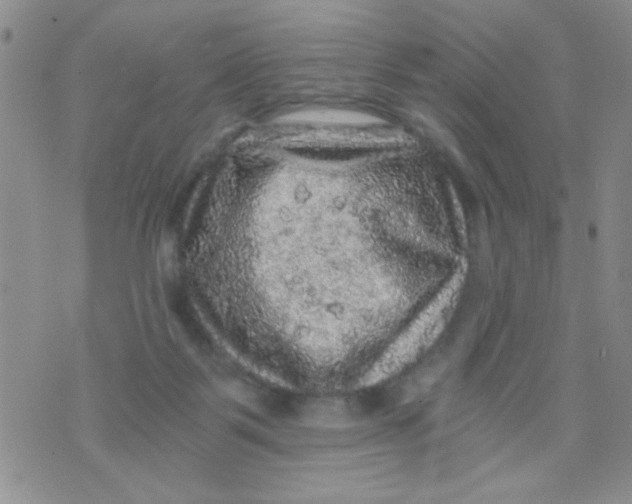 X0000073750123200608311945