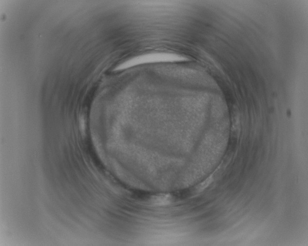 X0000073750124200608311945