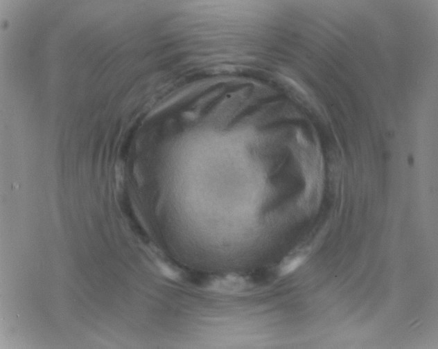 X0000073750125200608311945