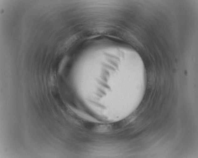 X0000073750126200608311945