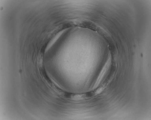 X0000073750129200608311945