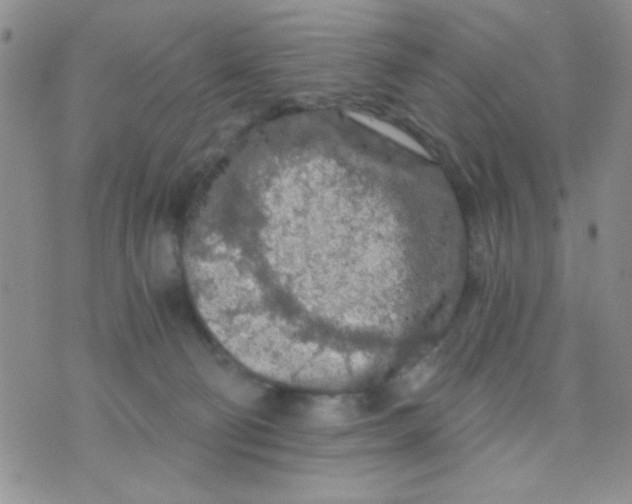 X0000073750130200608311944