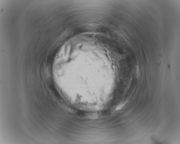 X0000073750131200608311944