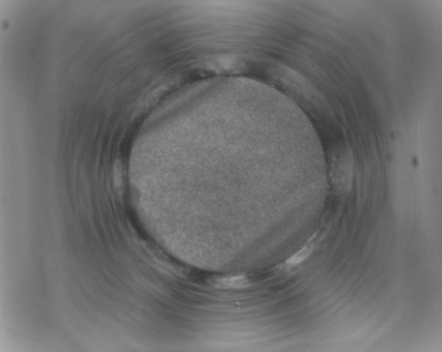 X0000073750132200608311944