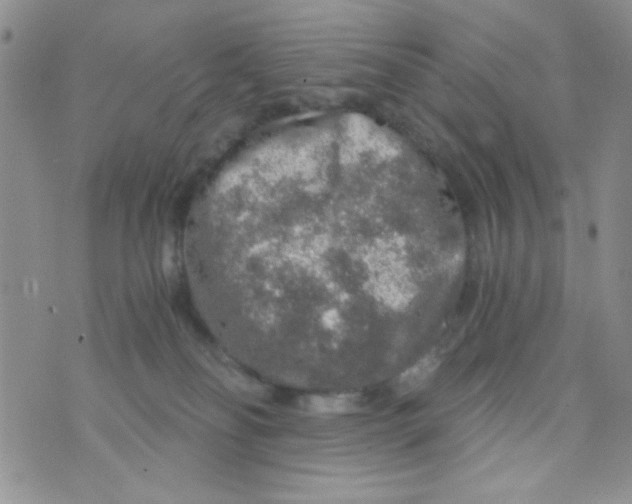 X0000073750134200608311944