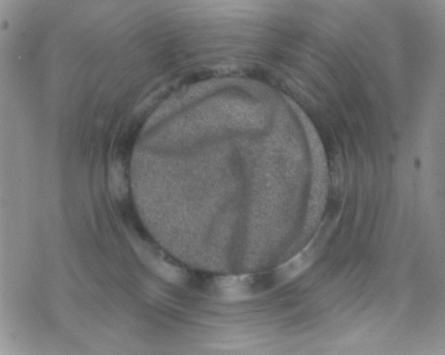 X0000073750136200608311944