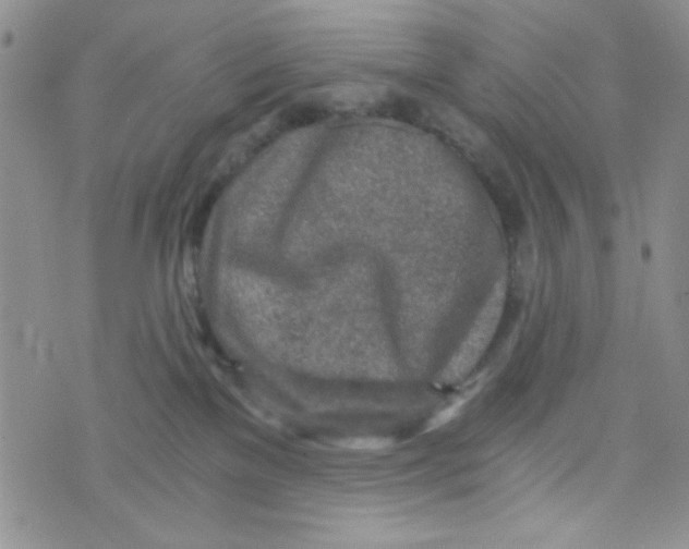 X0000073750137200608311944