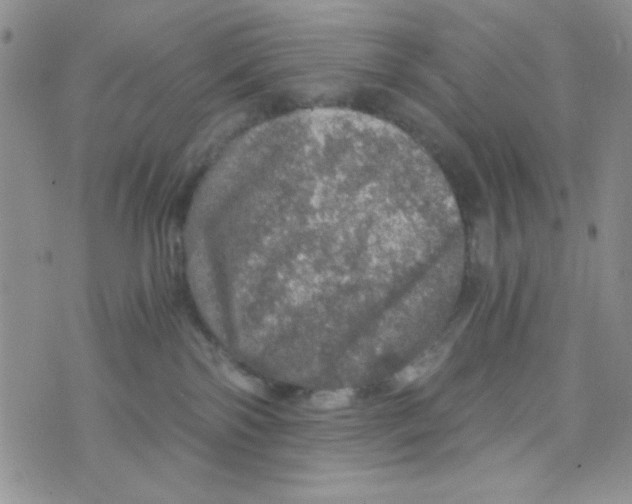 X0000073750138200608311944