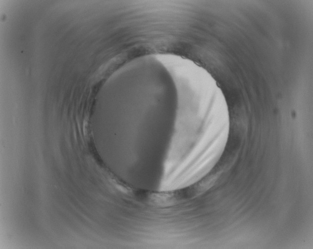 X0000073750139200608311944