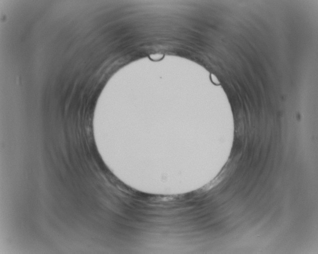 X0000073750140200608311944